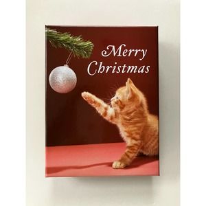 Christmas Cards Boxed Cats New Kitten Kitty Ornament